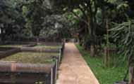 pelatihan satpam